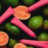 image:imageSummer Fridays Lip Butter Balm Summer Fruit Trio  Tinted Hydrating Lip Balm for Instant Moisture  Glassy Shine  Vegan Skincare Makeup with Shea Butter  Set Includes Pink Guava Poppy  CherryPink Guava